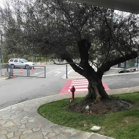 Apartamento Spacious In Luxury Tirana