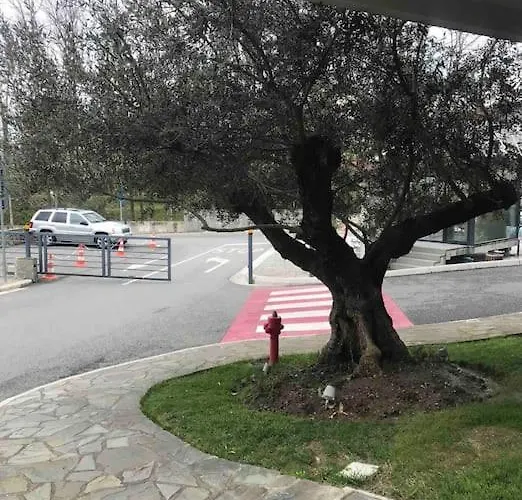 公寓 Spacious In Luxury 地拉那